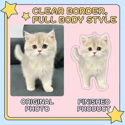 Transparent Full Body